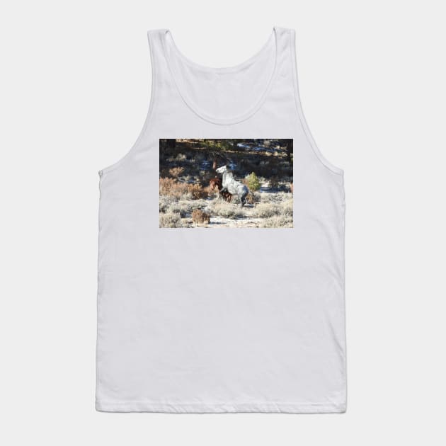 Wild horses, wildlife, nature, gifts Tank Top by sandyo2ly
